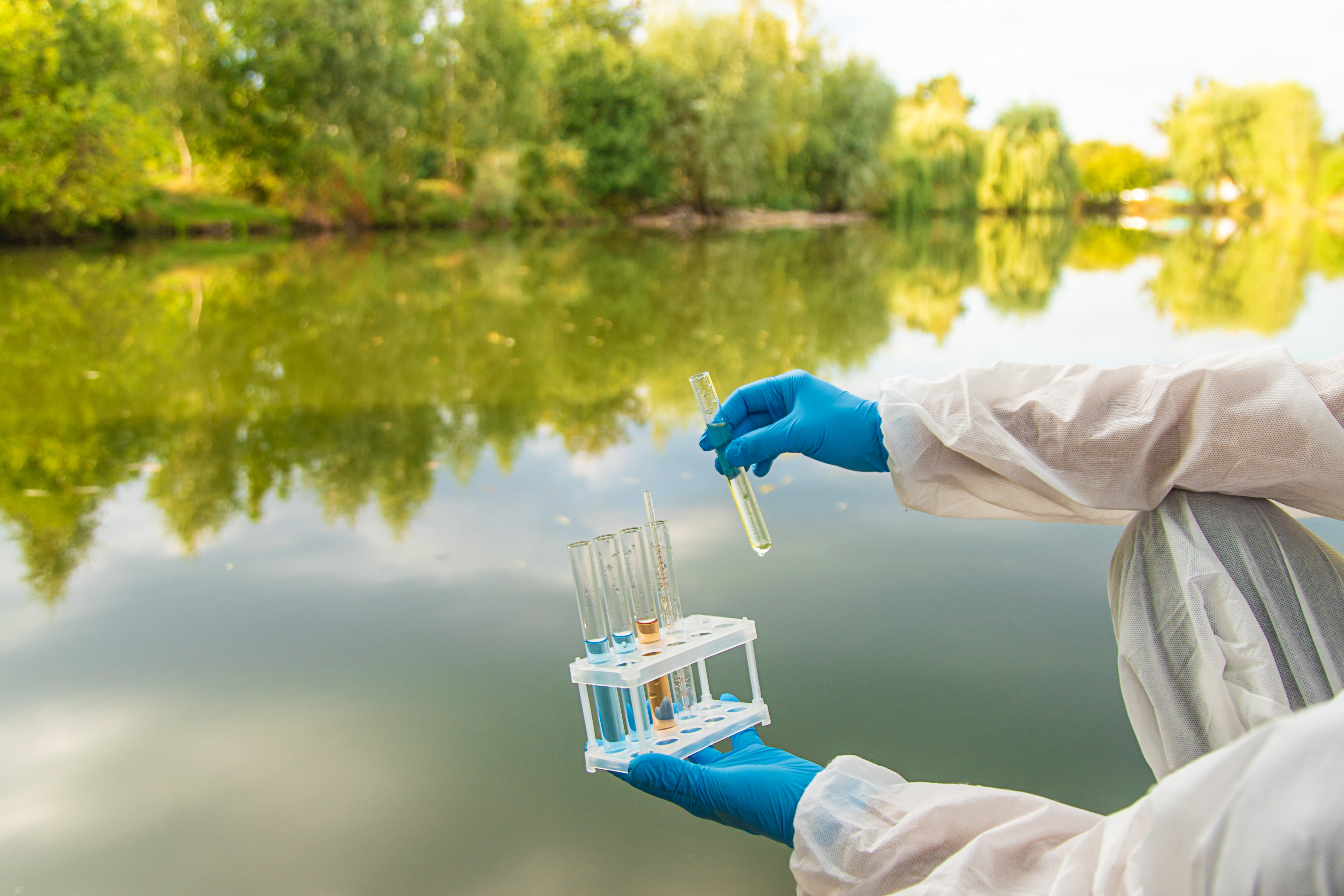 A new study shows how lake sediments can be used as sustainable phosphorus fertilisers