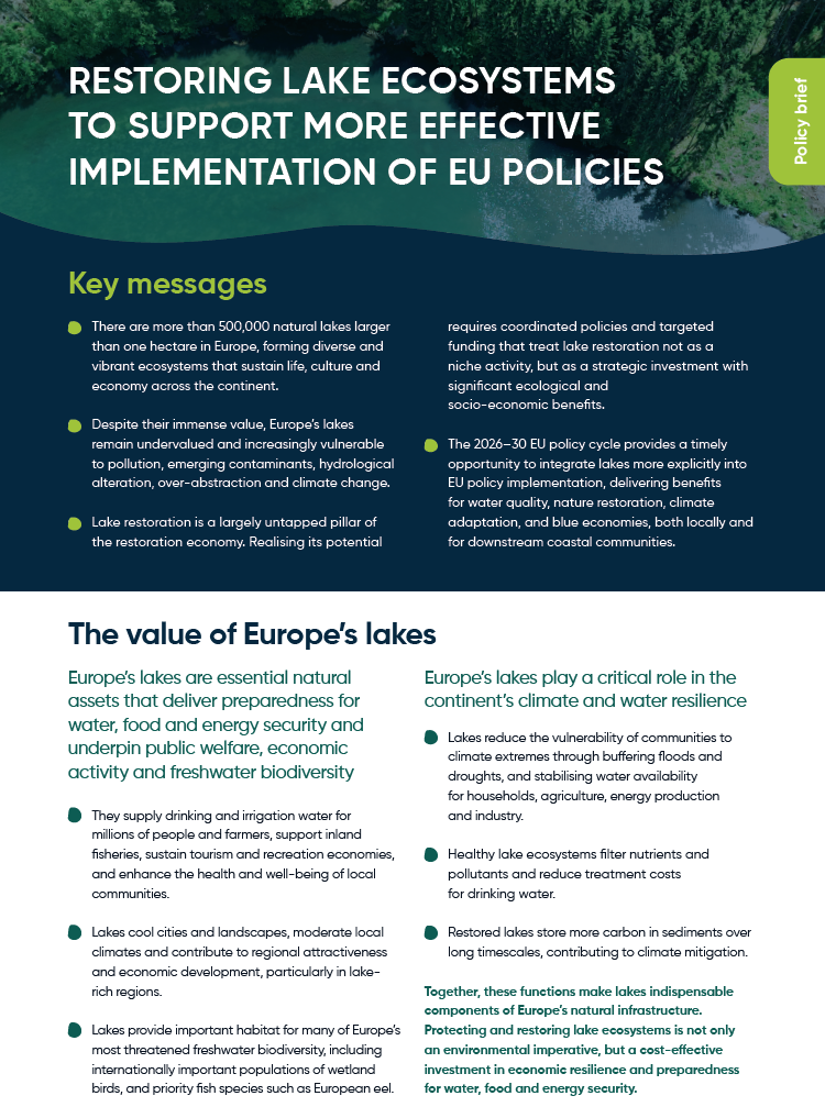 MissionLakes Policy brief preview