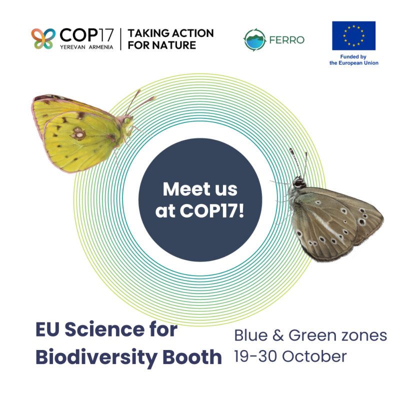 FERRO presented at COP17: Advancing freshwater restoration for biodiversity
