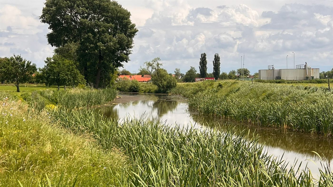 Reci Lake with reeds and green floodplain